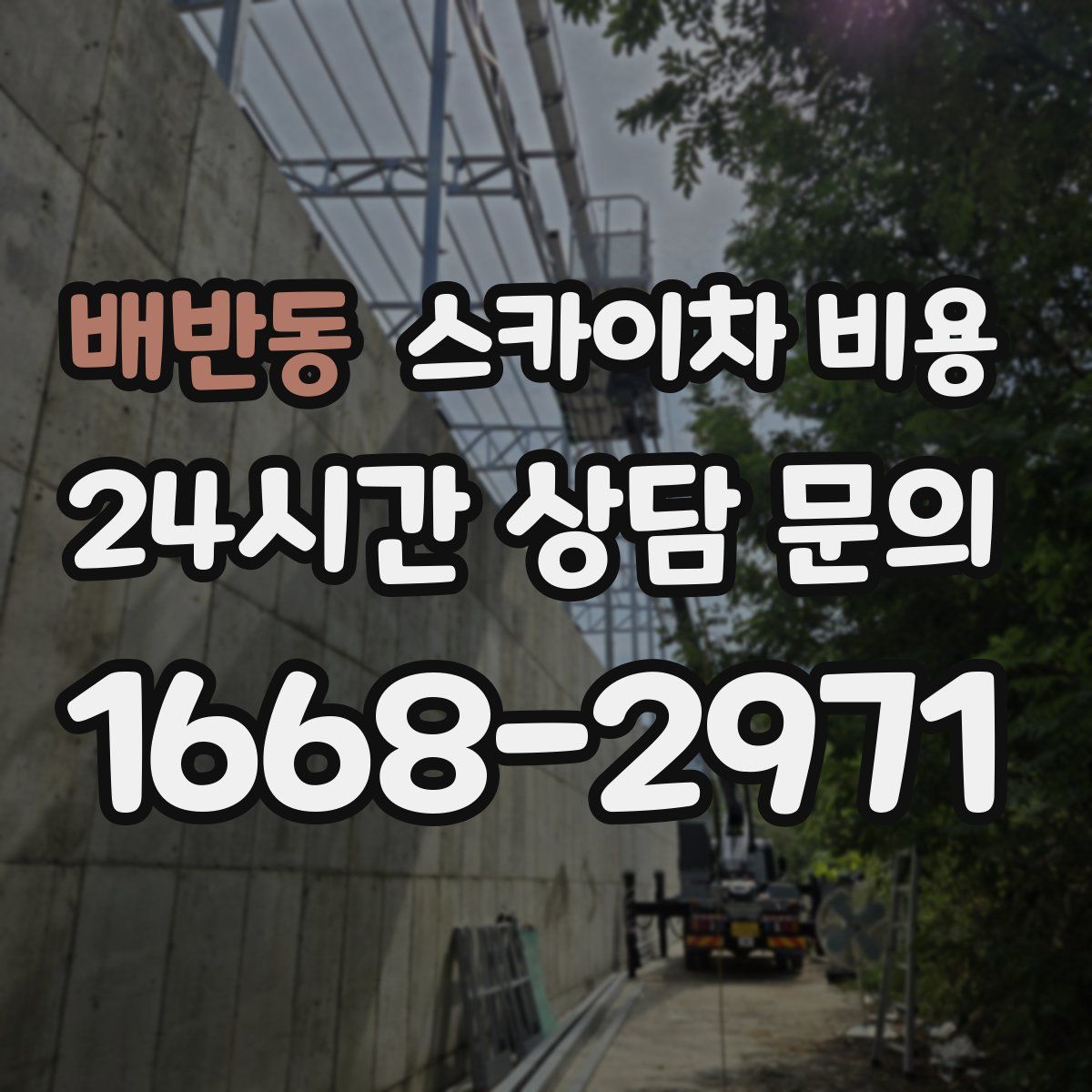 배반동 스카이차 비용