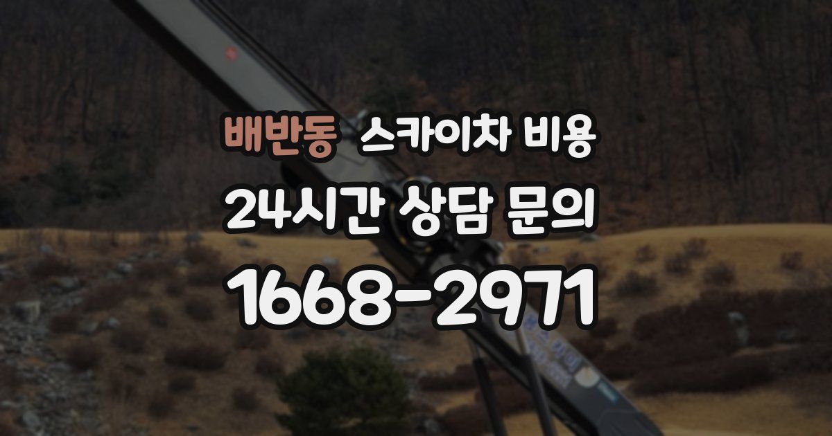 배반동 스카이차 비용