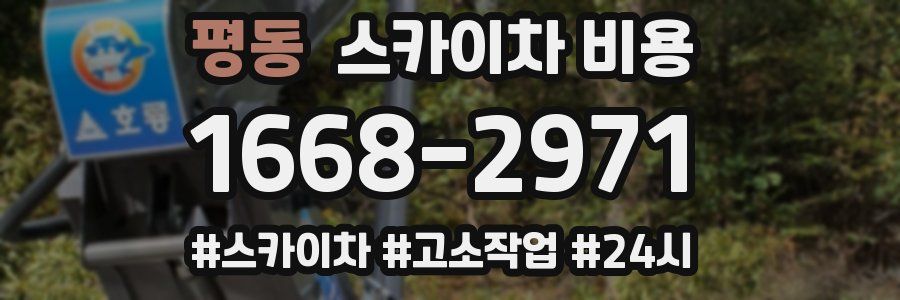 평동 스카이차 비용