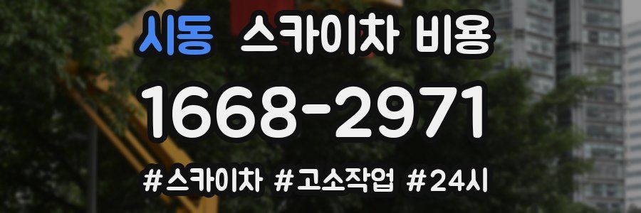 시동 스카이차 비용