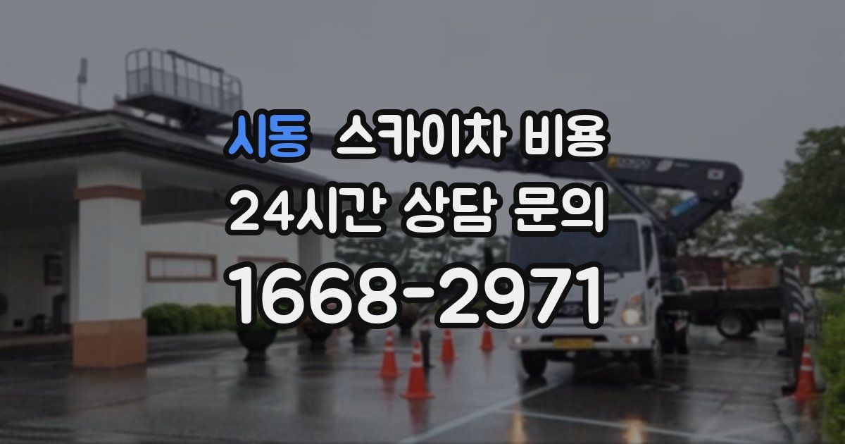 시동 스카이차 비용