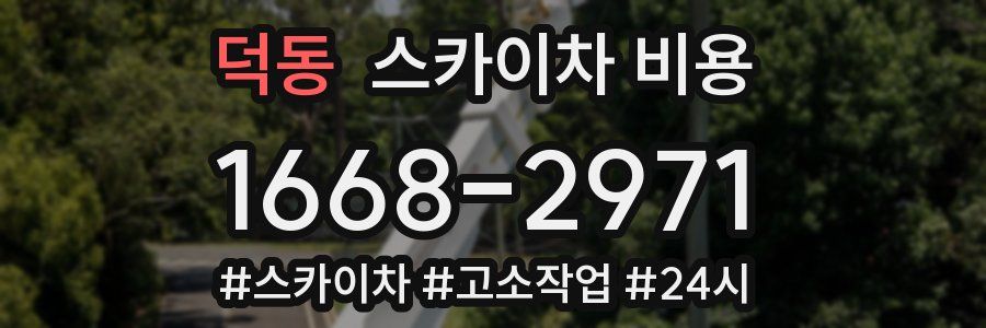 덕동 스카이차 비용