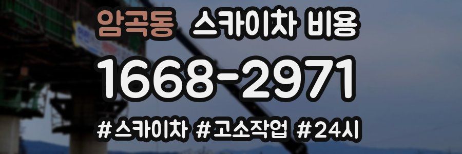 암곡동 스카이차 비용