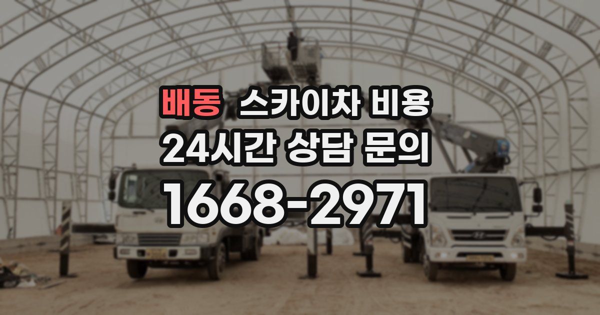 배동 스카이차 비용