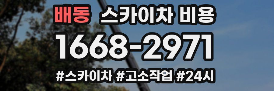 배동 스카이차 비용