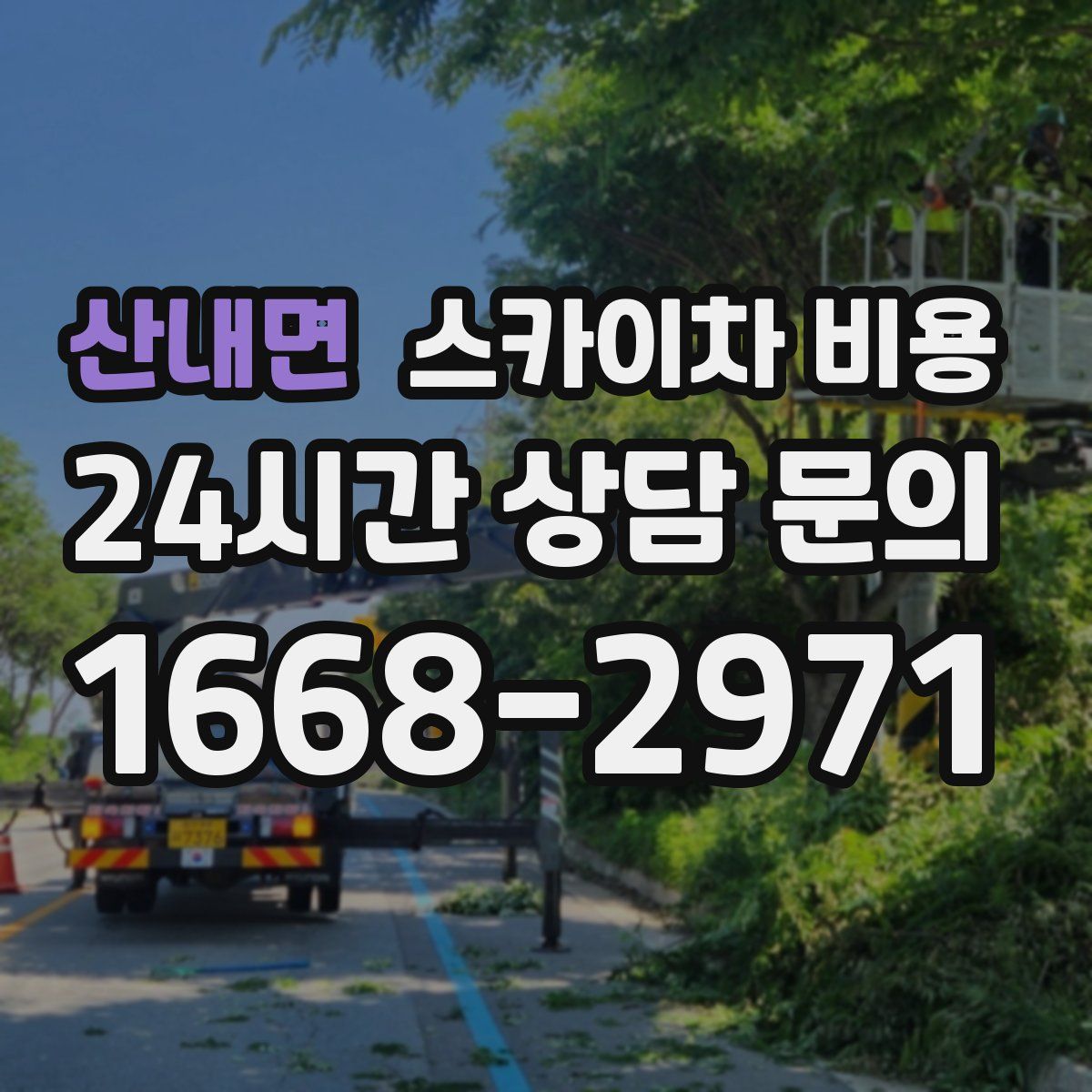 산내면 스카이차 비용