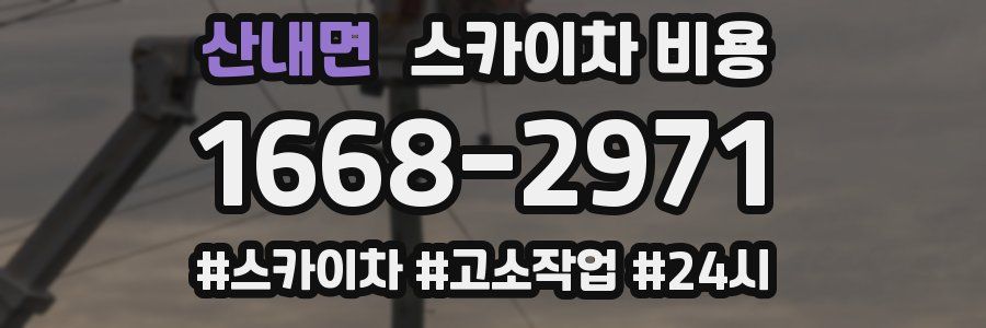 산내면 스카이차 비용