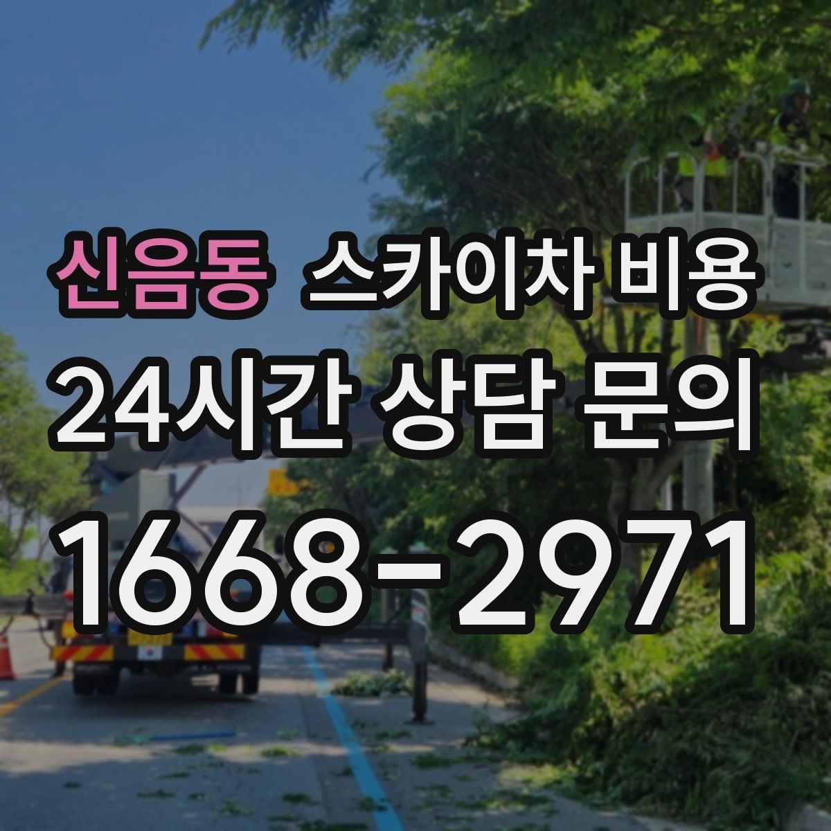 신음동 스카이차 비용 적정 견적을 판단하는 현실적인 기준
