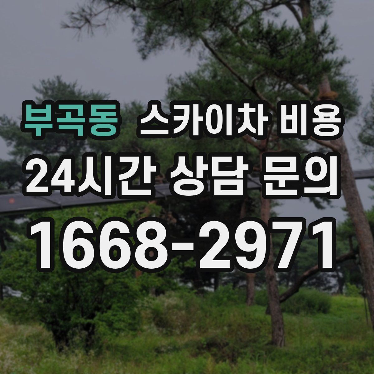 부곡동 스카이차 비용