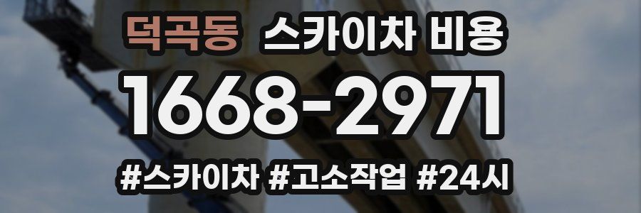 덕곡동 스카이차 비용