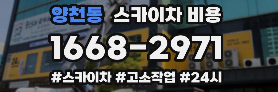 양천동 스카이차 비용