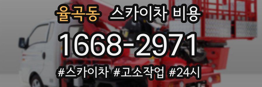 율곡동 스카이차 비용