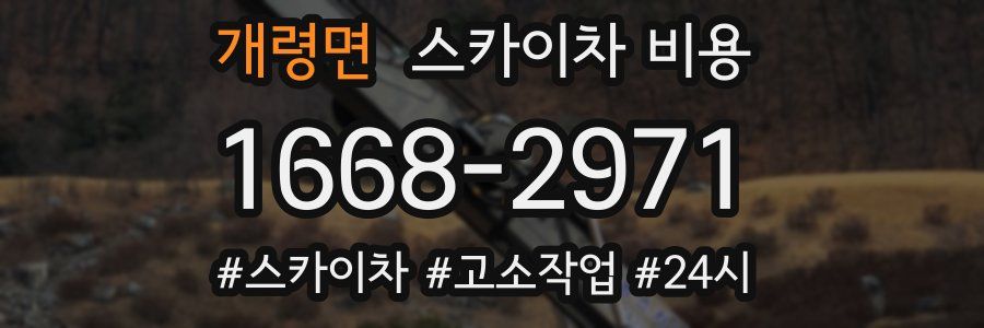 개령면 스카이차 비용