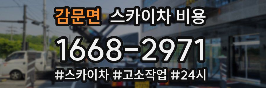 감문면 스카이차 비용