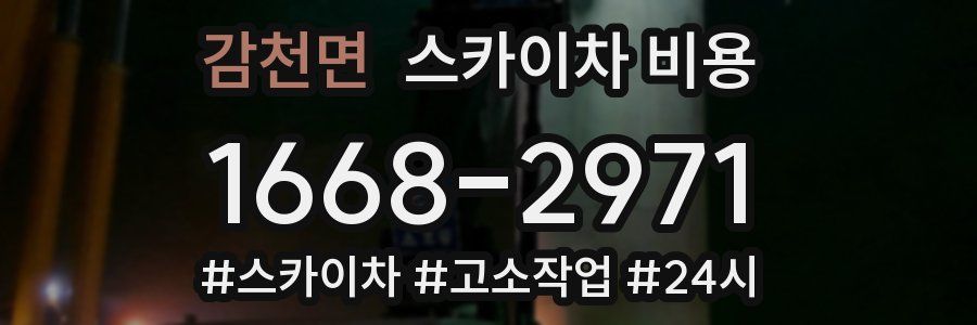 감천면 스카이차 비용