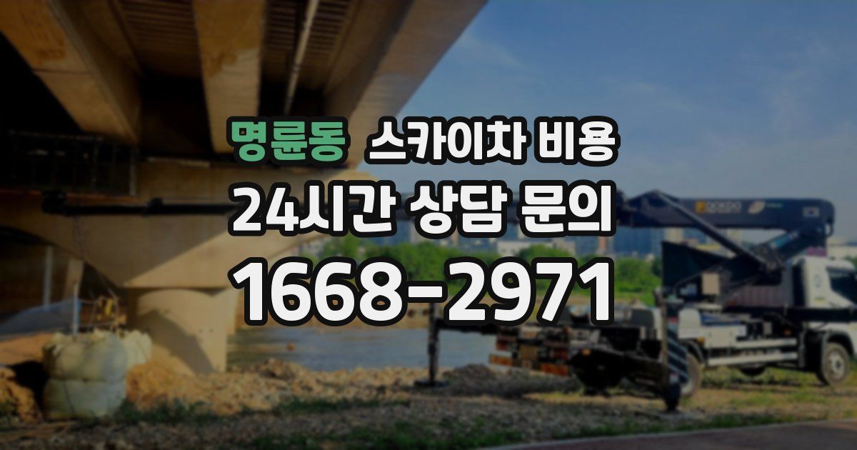 명륜동 스카이차 비용