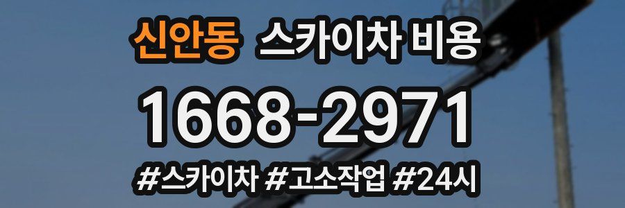 신안동 스카이차 비용