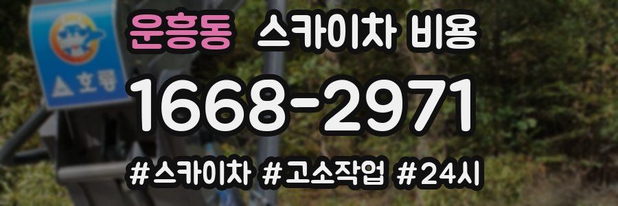 운흥동 스카이차 비용