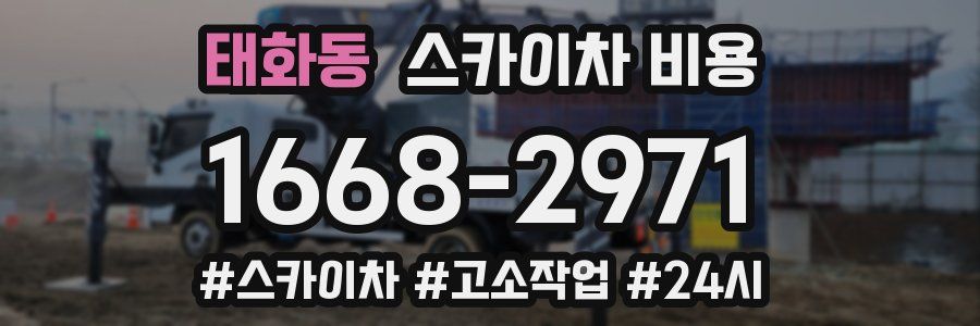 태화동 스카이차 비용