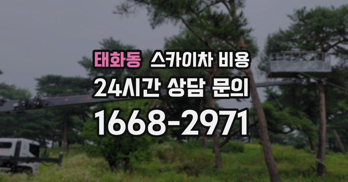 태화동 스카이차 비용