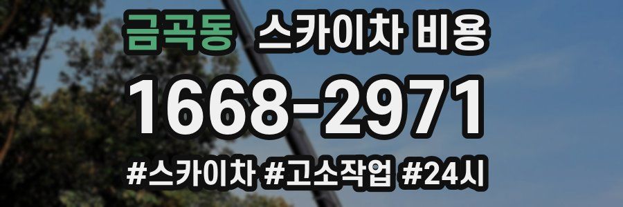 금곡동 스카이차 비용