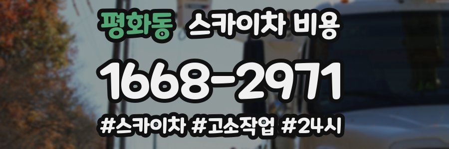 평화동 스카이차 비용