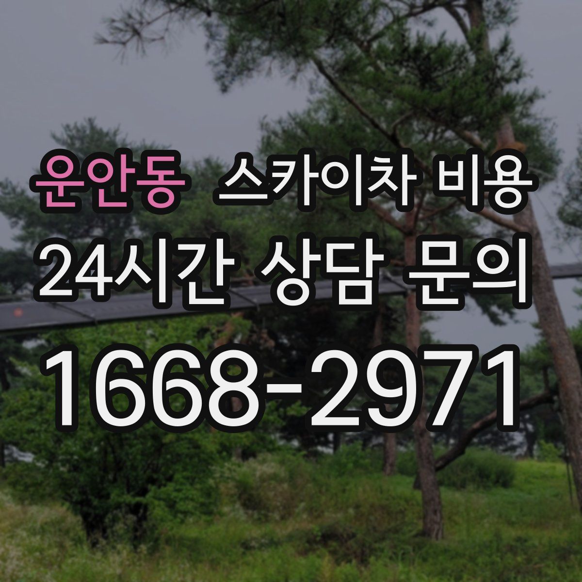 운안동 스카이차 비용