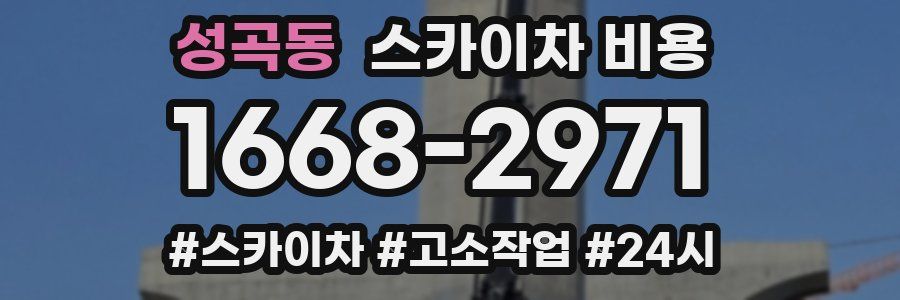 성곡동 스카이차 비용