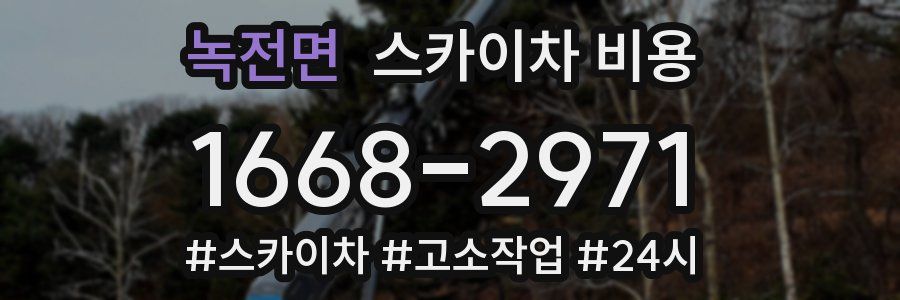 녹전면 스카이차 비용