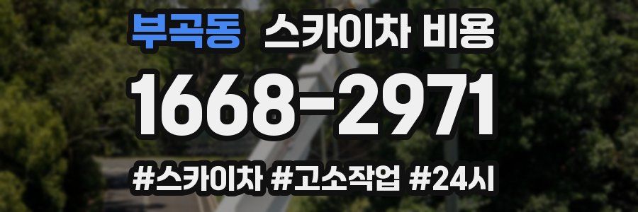 부곡동 스카이차 비용