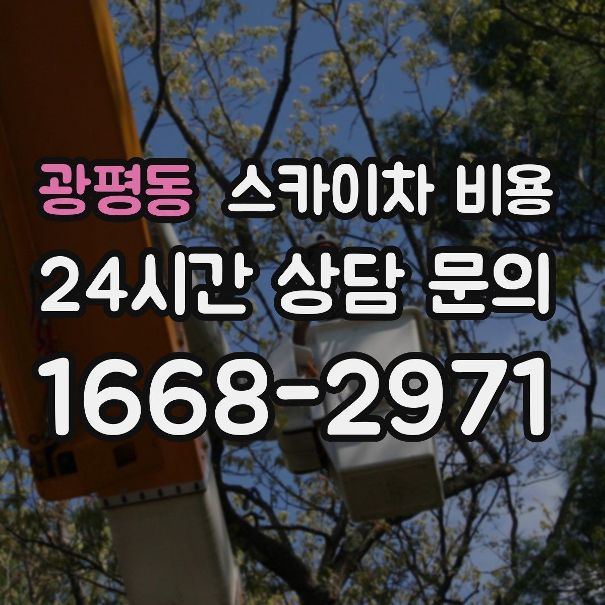 광평동 스카이차 비용 통신선 처짐 정리는 작업 구간이 핵심입니다