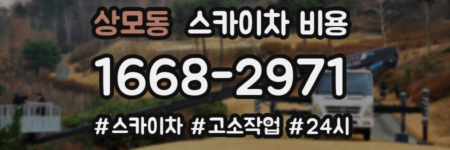 상모동 스카이차 비용