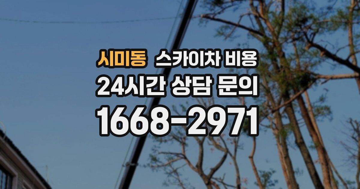 시미동 스카이차 비용