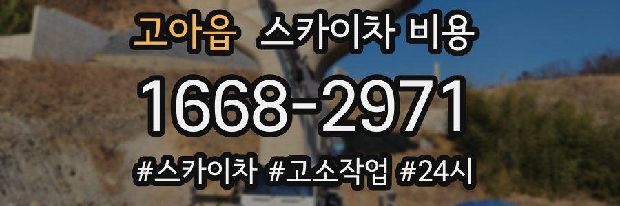 고아읍 스카이차 비용