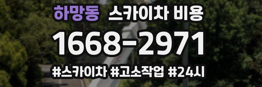 하망동 스카이차 비용