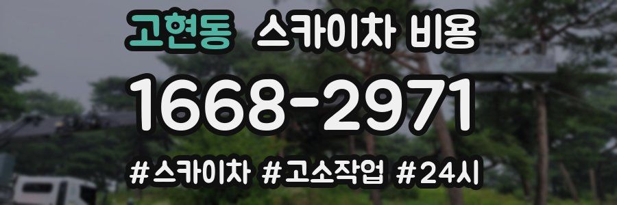 고현동 스카이차 비용