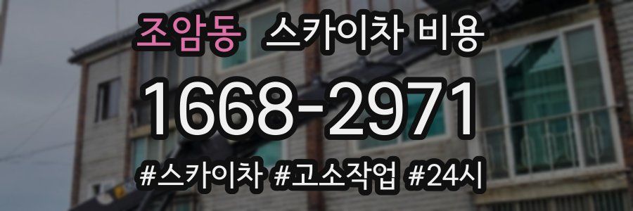 조암동 스카이차 비용