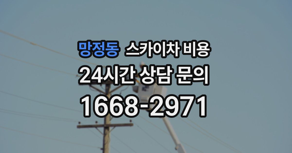 망정동 스카이차 비용