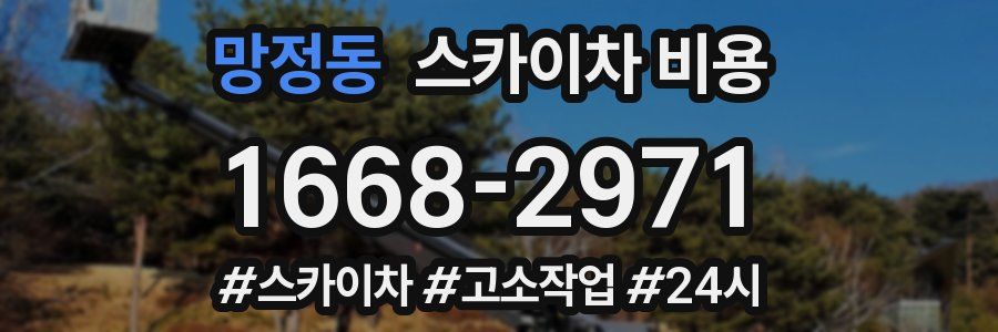 망정동 스카이차 비용