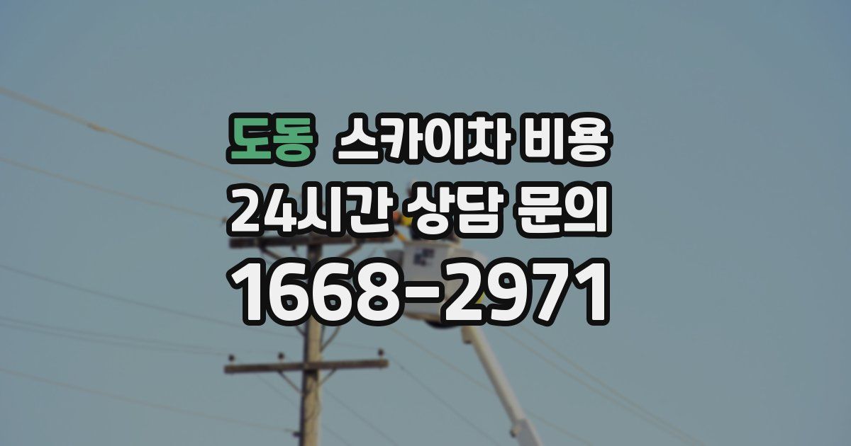 도동 스카이차 비용