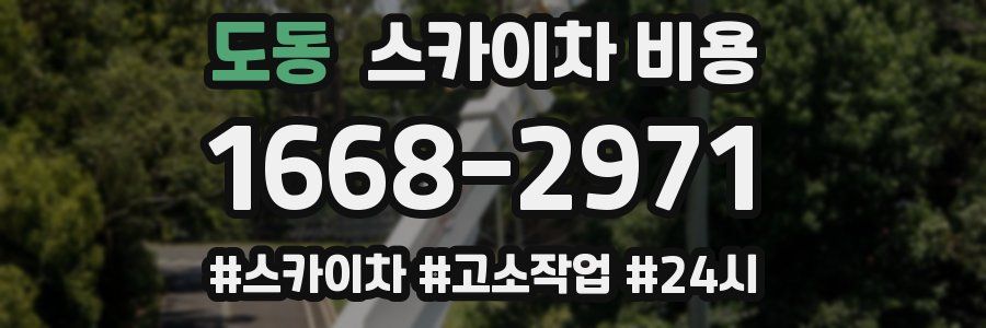 도동 스카이차 비용