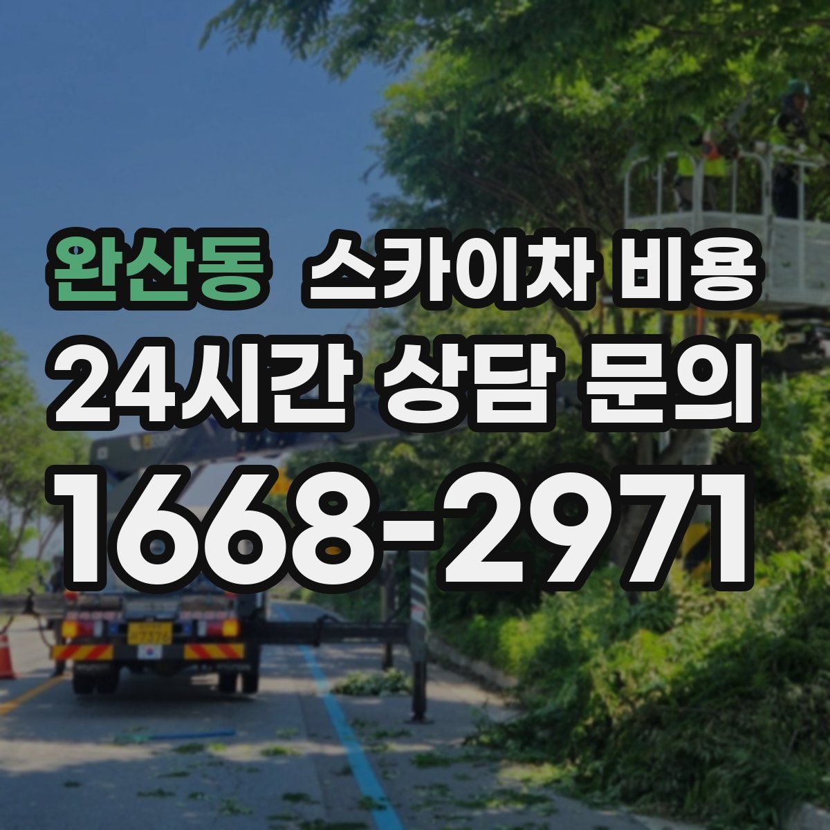 완산동 스카이차 비용