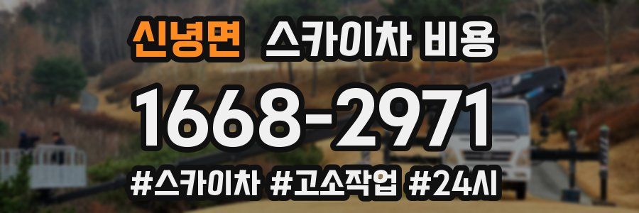 신녕면 스카이차 비용