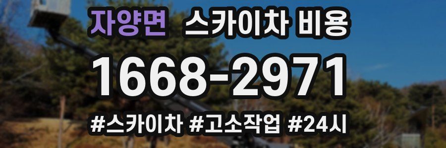 자양면 스카이차 비용