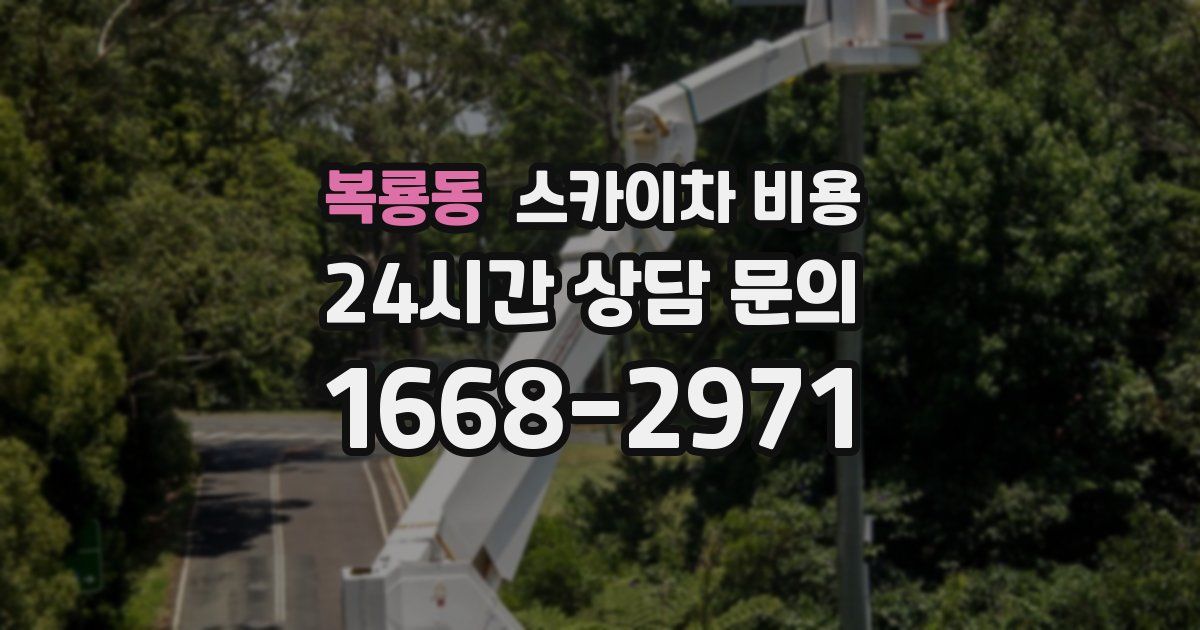 복룡동 스카이차 비용