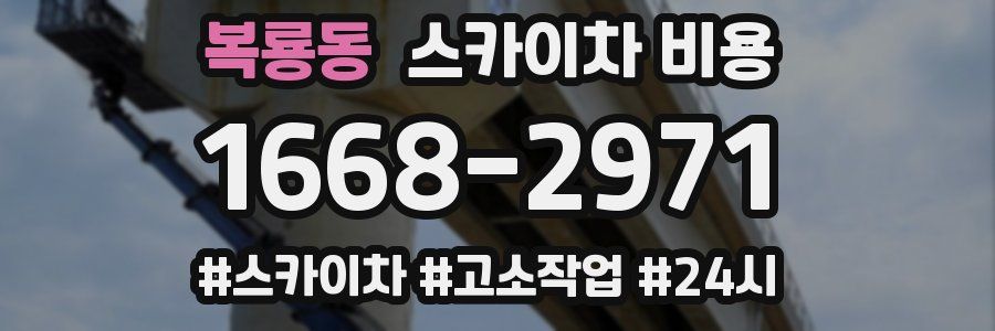 복룡동 스카이차 비용