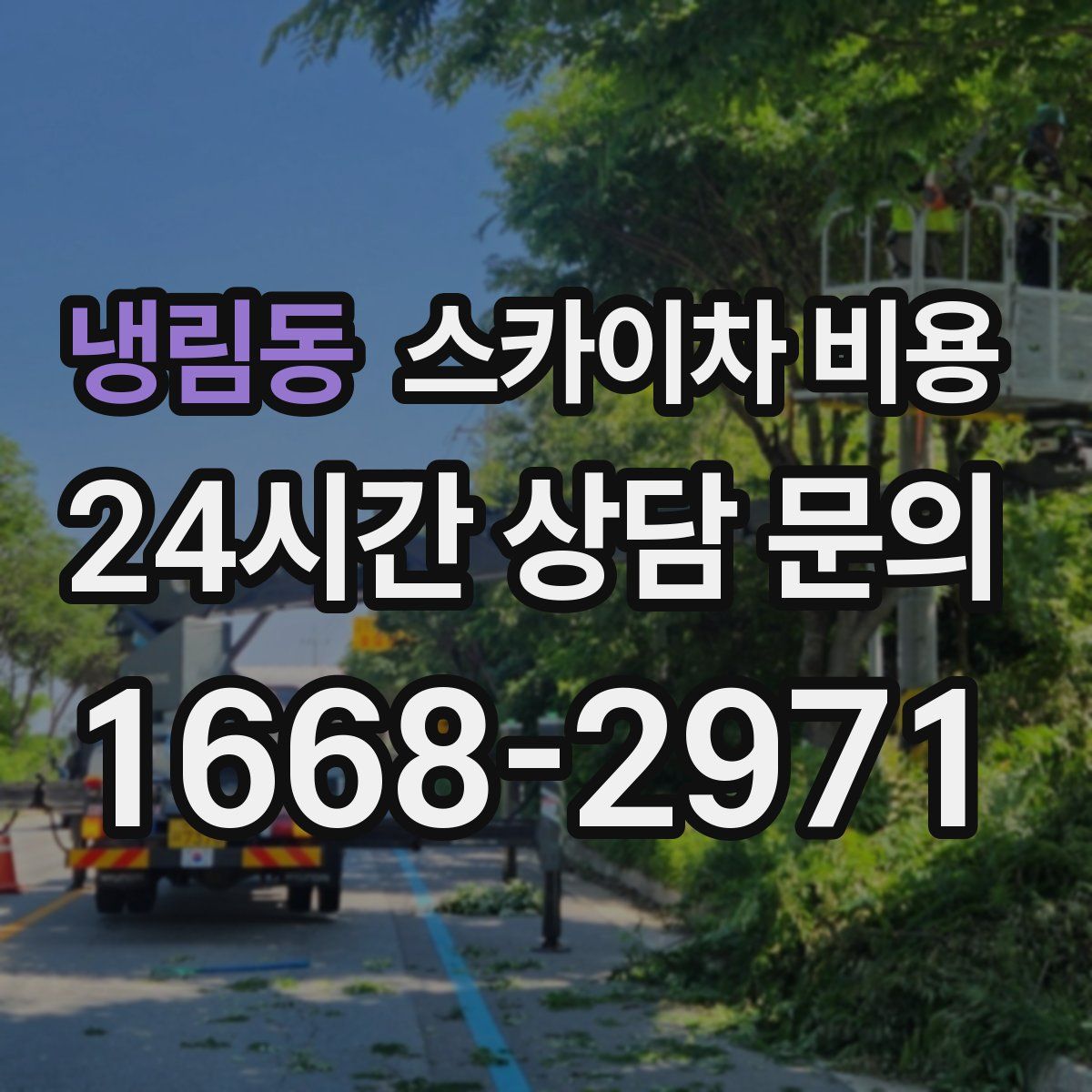 냉림동 스카이차 비용