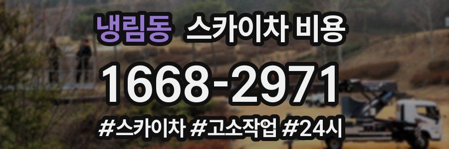 냉림동 스카이차 비용