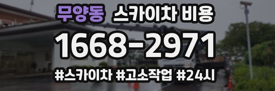 무양동 스카이차 비용