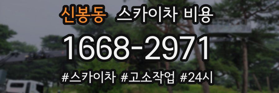 신봉동 스카이차 비용